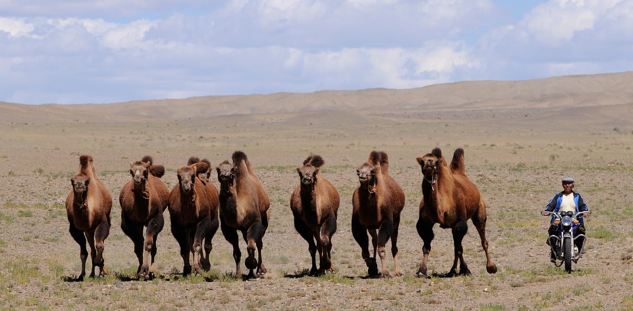 Undiscovered Treasures of Mongolia’s Gobi Desert